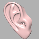 ear ear